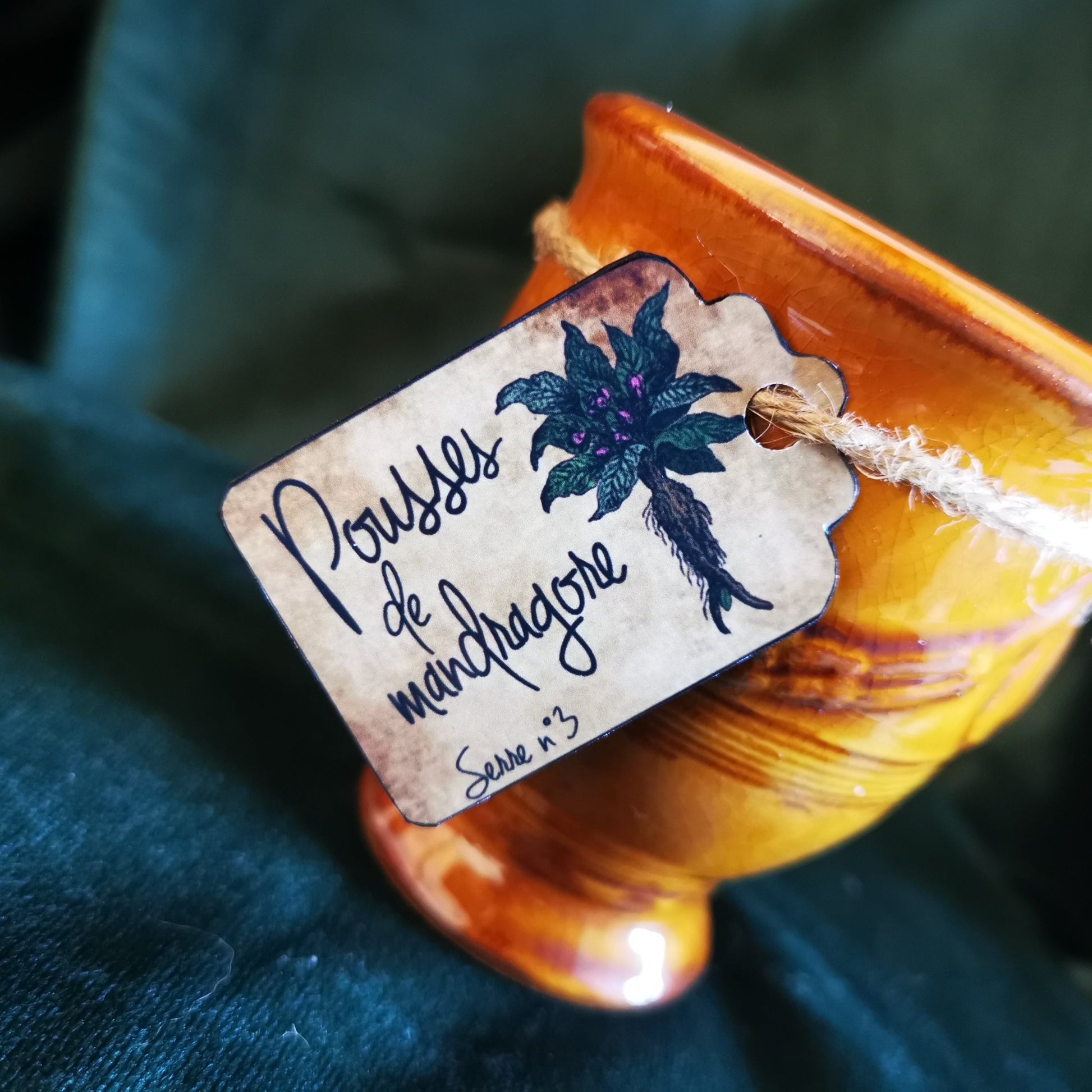 Bougie Pousses de Mandragore Aravis Potions Apothecary Harry Potter