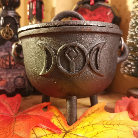 Chaudron de Sorcier(e) Aravis Potions Apothecary Harry Potter