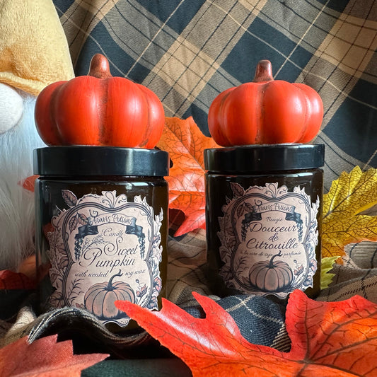 Sweet Pumpkin / Douceur de Citrouille
