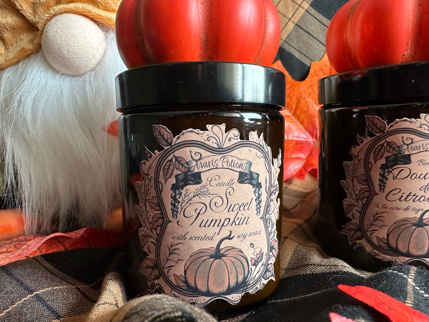 Sweet Pumpkin / Douceur de Citrouille