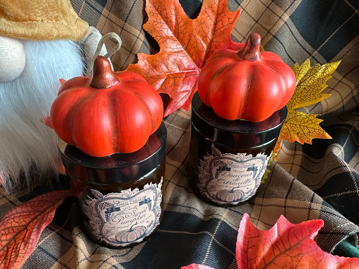 Sweet Pumpkin / Douceur de Citrouille