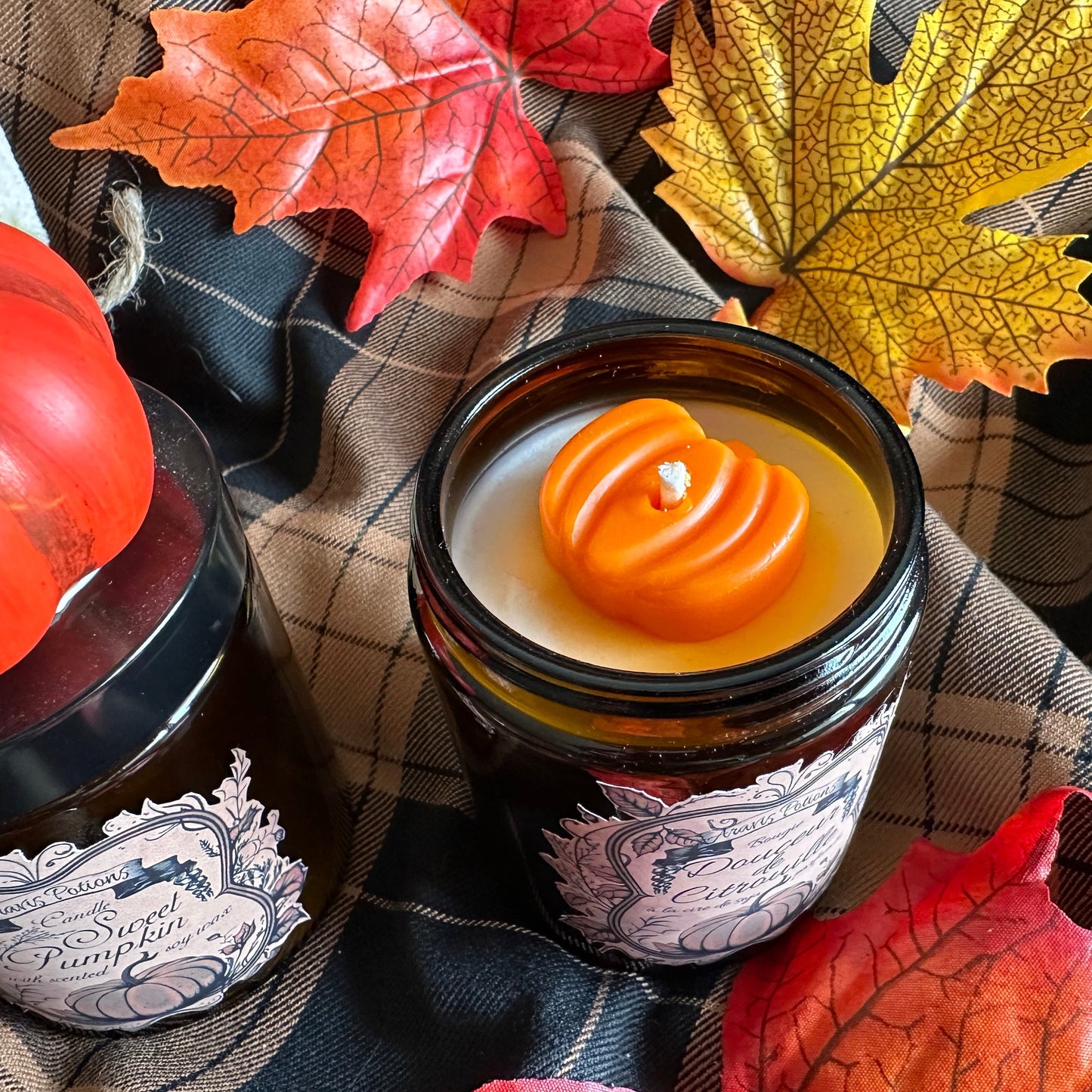 Sweet Pumpkin / Douceur de Citrouille
