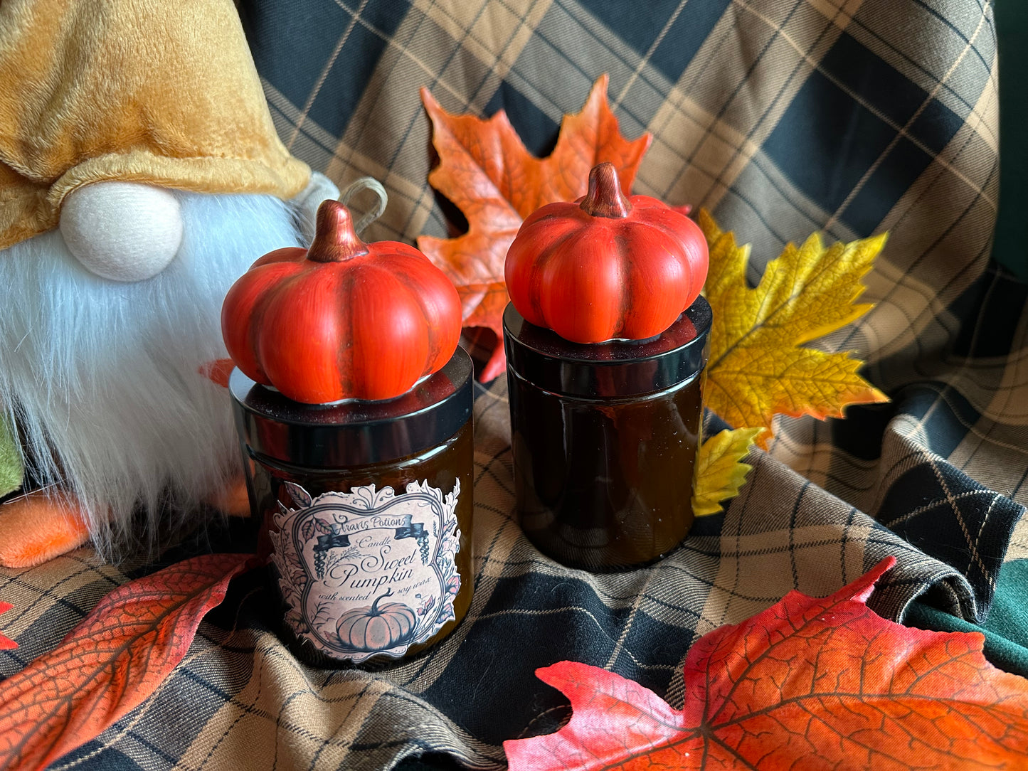 Sweet Pumpkin / Douceur de Citrouille