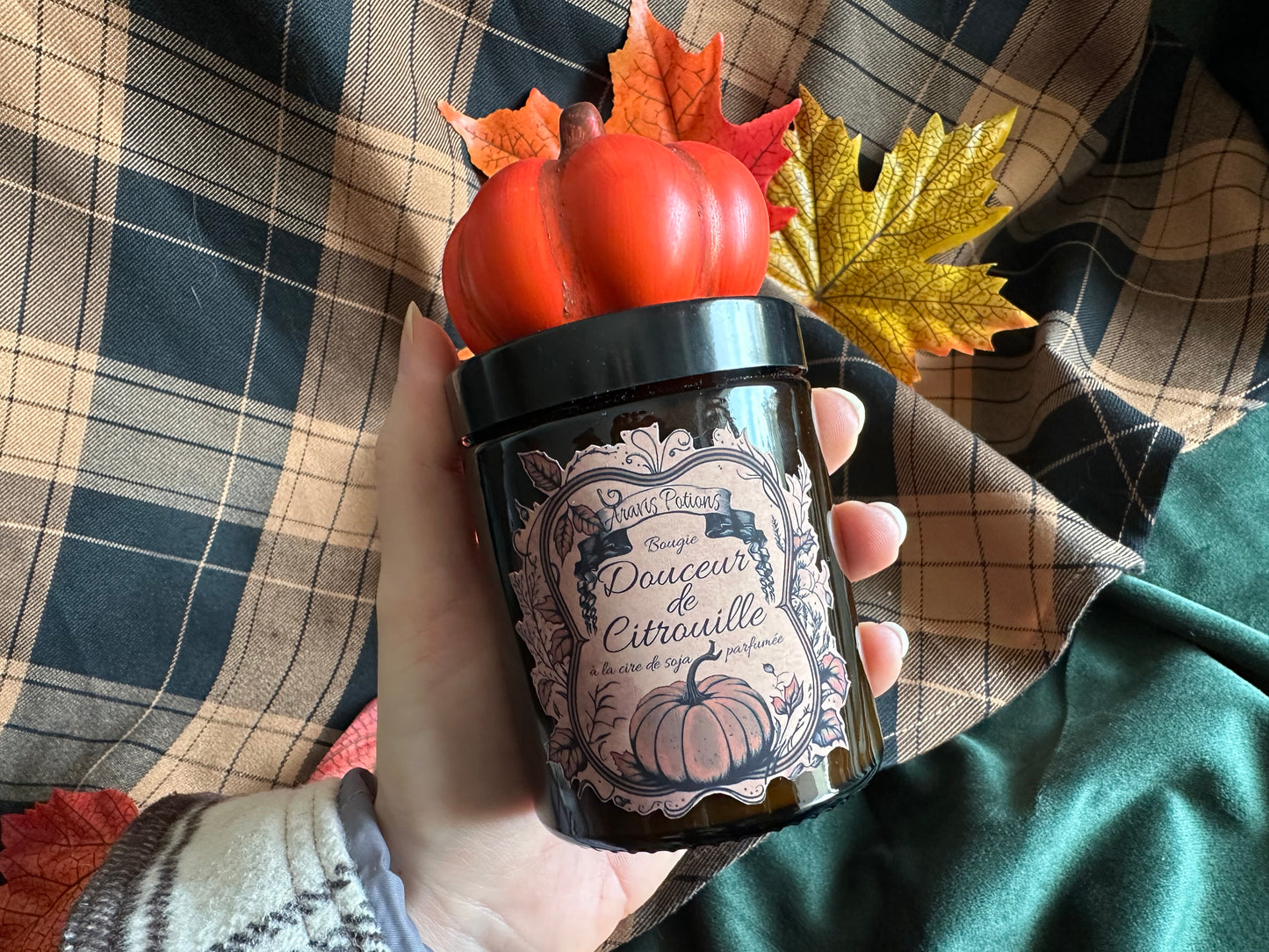 Sweet Pumpkin / Douceur de Citrouille