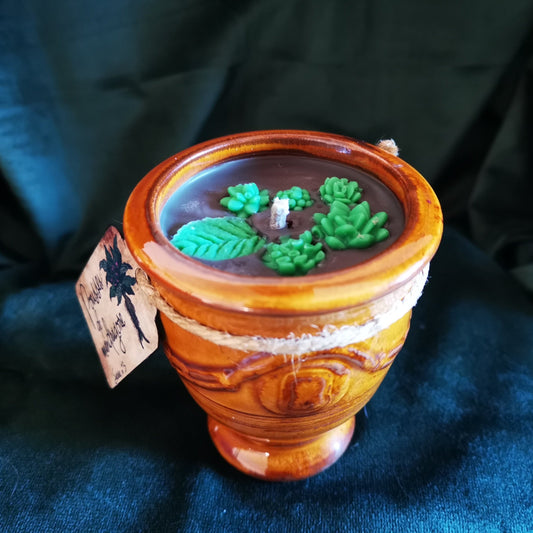 Bougie Pousses de Mandragore Aravis Potions Apothecary Harry Potter